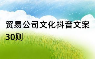 貿易公司文化抖音文案30則