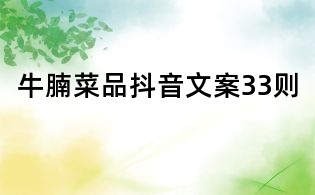 牛腩菜品抖音文案33則