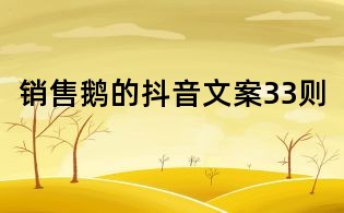 銷(xiāo)售鵝的抖音文案33則