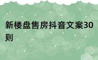 新樓盤(pán)售房抖音文案30則