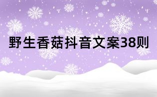 野生香菇抖音文案38則
