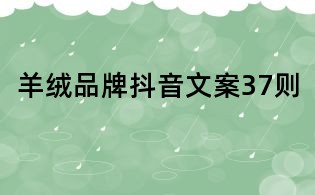 羊絨品牌抖音文案37則
