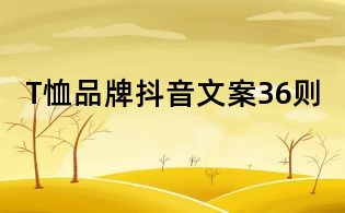 T恤品牌抖音文案36則
