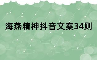 海燕精神抖音文案34則
