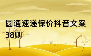 圓通速遞保價抖音文案38則