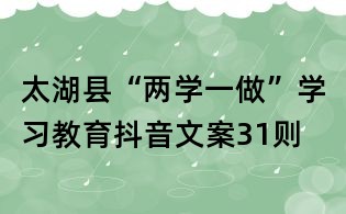 太湖縣“兩學(xué)一做”學(xué)習(xí)教育抖音文案31則