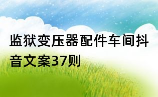 監獄變壓器配件車間抖音文案37則