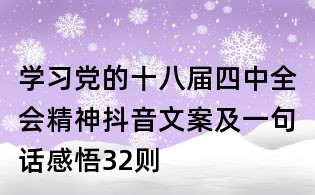 學習黨的十八屆四中全會精神抖音文案及一句話感悟32則