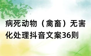 病死動物（禽畜）無害化處理抖音文案36則
