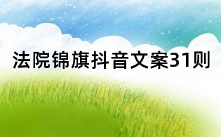 法院錦旗抖音文案31則