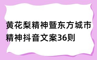 黃花梨精神暨東方城市精神抖音文案36則