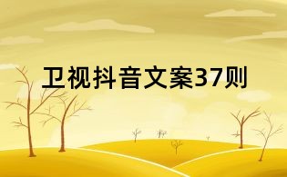 衛視抖音文案37則