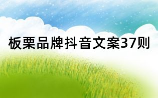 板栗品牌抖音文案37則