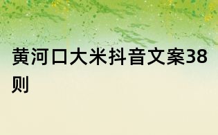 黃河口大米抖音文案38則