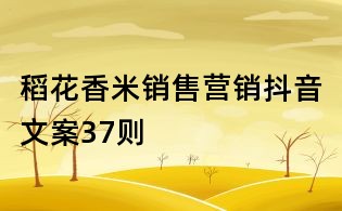 稻花香米銷售營銷抖音文案37則