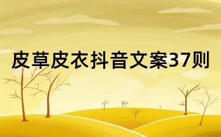 皮草皮衣抖音文案37則