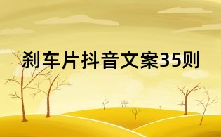 剎車片抖音文案35則