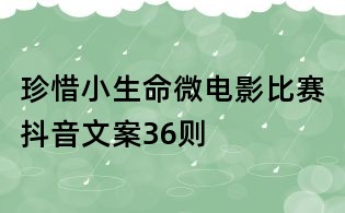 珍惜小生命微電影比賽抖音文案36則