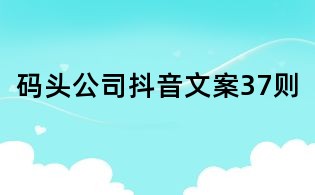 碼頭公司抖音文案37則
