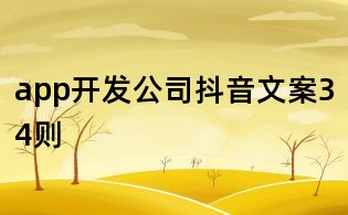 app開發公司抖音文案34則