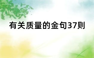 有關質量的金句37則