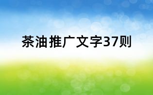 茶油推廣文字37則