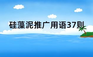 硅藻泥推廣用語37則
