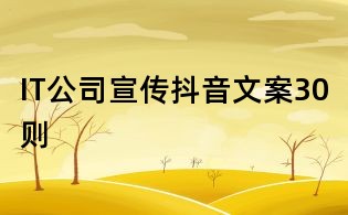 IT公司宣傳抖音文案30則