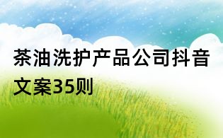 茶油洗護產品公司抖音文案35則