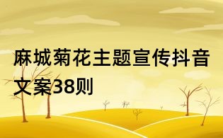 麻城菊花主題宣傳抖音文案38則