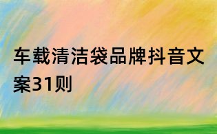 車(chē)載清潔袋品牌抖音文案31則