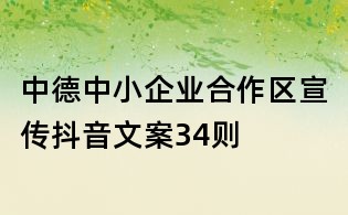 中德中小企業合作區宣傳抖音文案34則