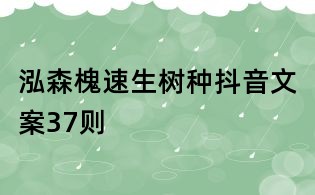 泓森槐速生樹種抖音文案37則