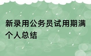 新錄用公務員試用期滿個人總結