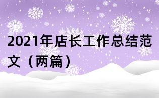 2021年店長工作總結范文(兩篇)