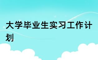 大學畢業生實習工作計劃