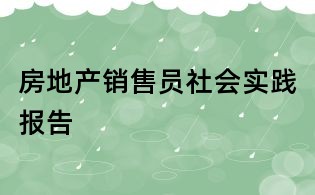 房地產銷售員社會實踐報告