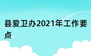 縣愛衛(wèi)辦2021年工作要點(diǎn)