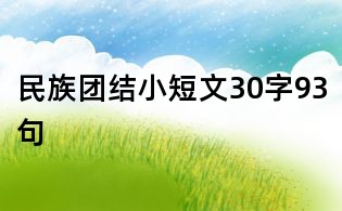 民族團結小短文30字93句