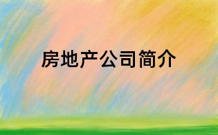 房地產(chǎn)公司簡介
