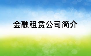 金融租賃公司簡(jiǎn)介