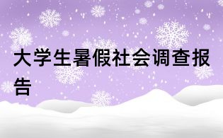 大學生暑假社會調查報告