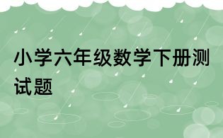 小學(xué)六年級(jí)數(shù)學(xué)下冊(cè)測(cè)試題