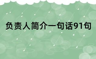 負(fù)責(zé)人簡介一句話91句