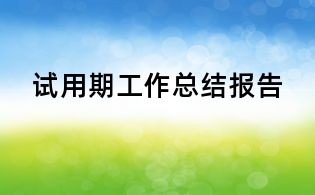 試用期工作總結(jié)報告