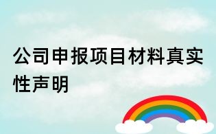 公司申報(bào)項(xiàng)目材料真實(shí)性聲明