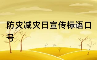 防災(zāi)減災(zāi)日宣傳標(biāo)語(yǔ)口號(hào)