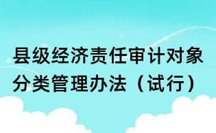 縣級(jí)經(jīng)濟(jì)責(zé)任審計(jì)對象分類管理辦法（試行）