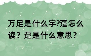萬足是什么字?躉怎么讀？躉是什么意思？
