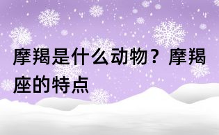 摩羯是什么動物？摩羯座的特點